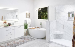 Bathroom Remodeling Ideas